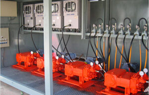 plant02.jpg